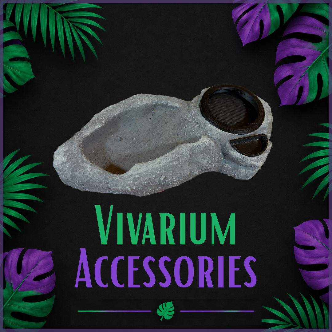 Vivarium Accessories