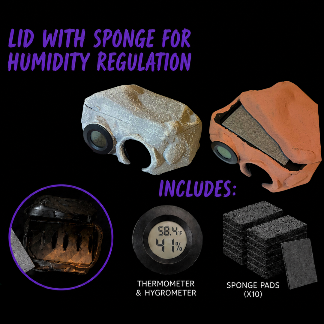 Humid Hide – Built-In Hygrometer, Thermometer & Humidity Control System