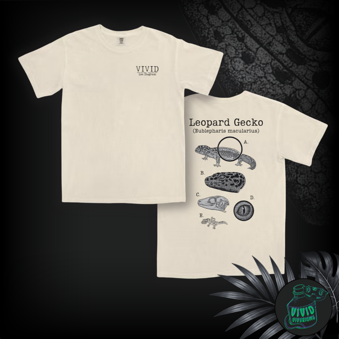 Leopard Gecko | Anatomical Diagram Tee