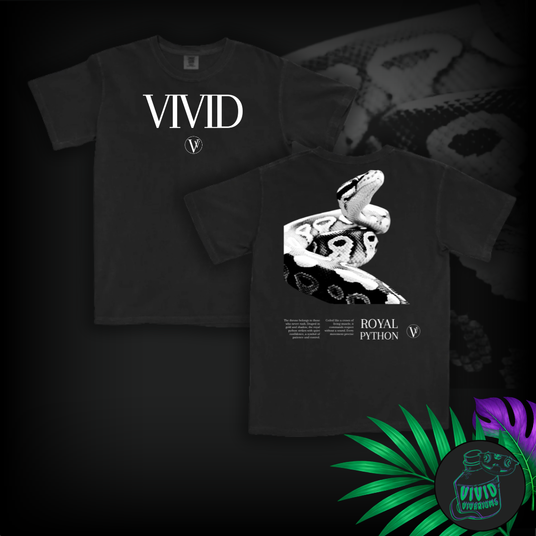 Ball/ Royal Python | Noir T-Shirt