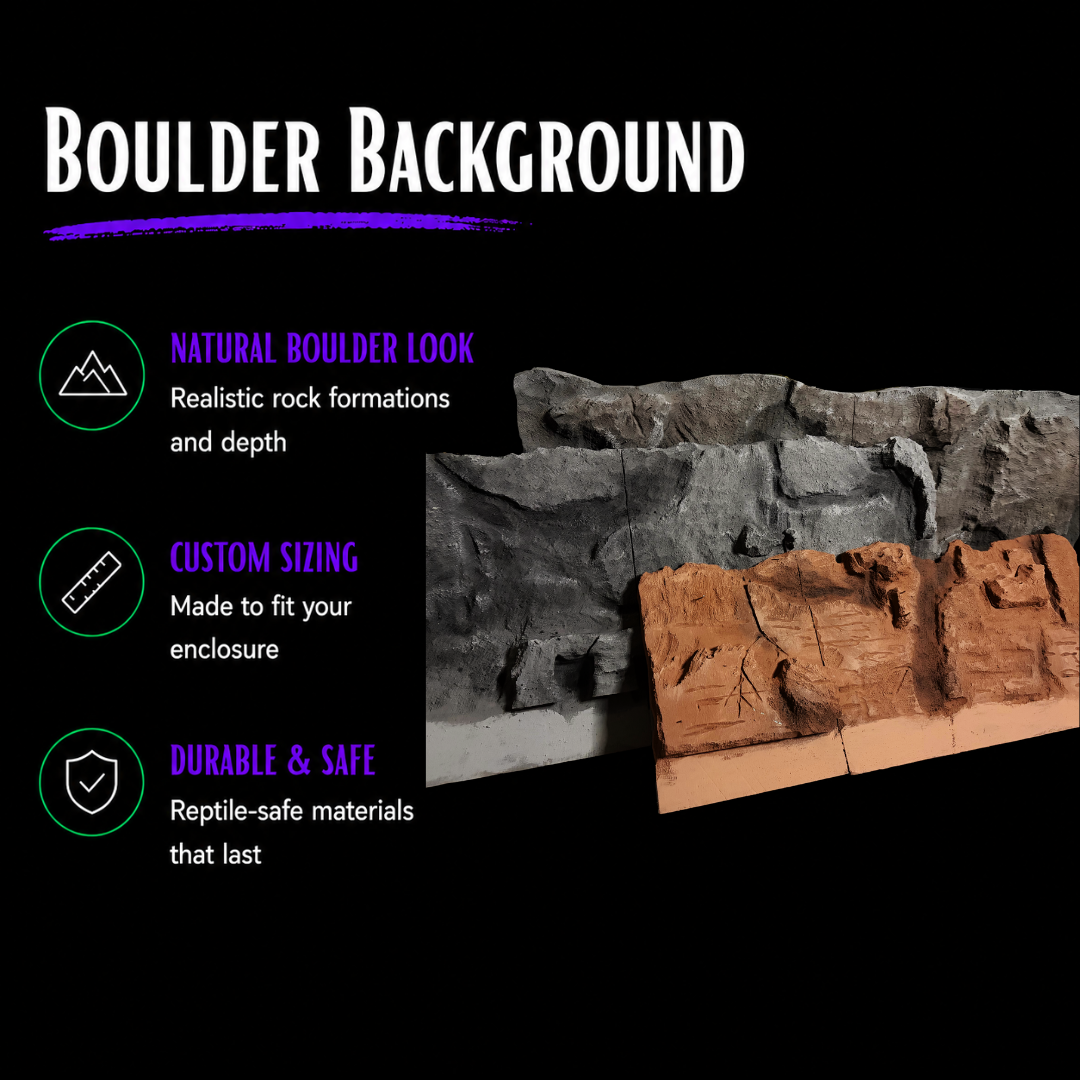 Handcrafted Custom Reptile Vivarium Background