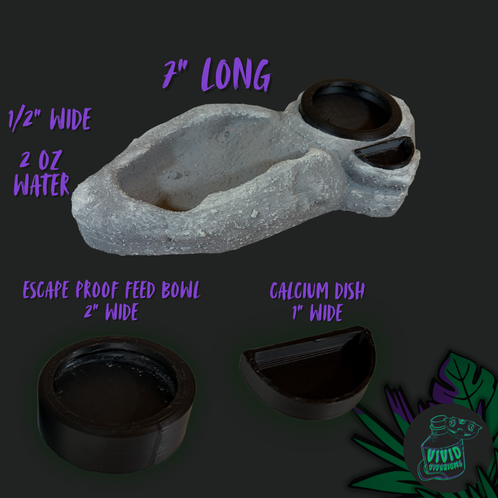 3-In-1 Reptile Bowl System
