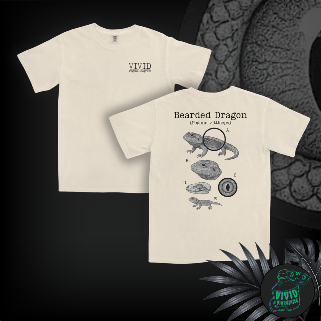 Bearded Dragon | Anatomical Diagram Tee