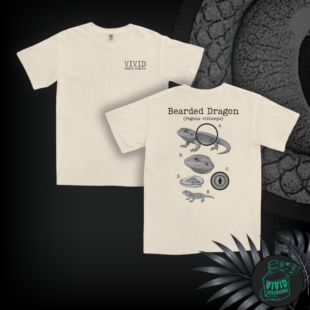 Bearded Dragon | Anatomical Diagram Tee