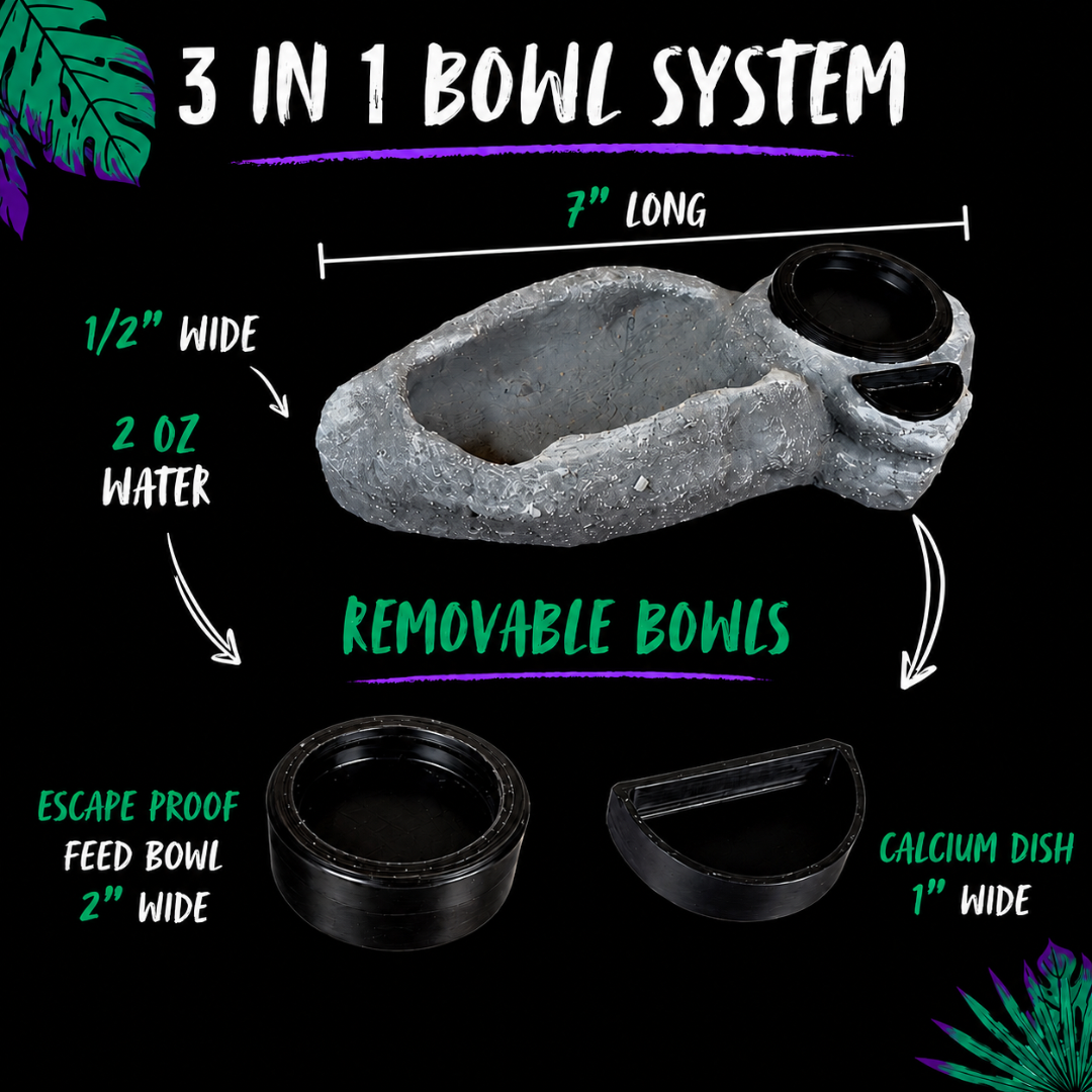 3-In-1 Reptile Bowl System
