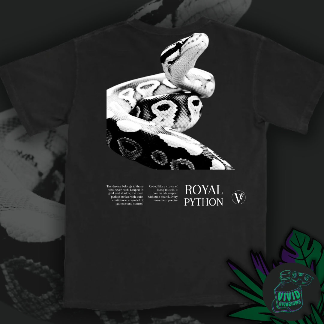 Ball/ Royal Python | Noir T-Shirt