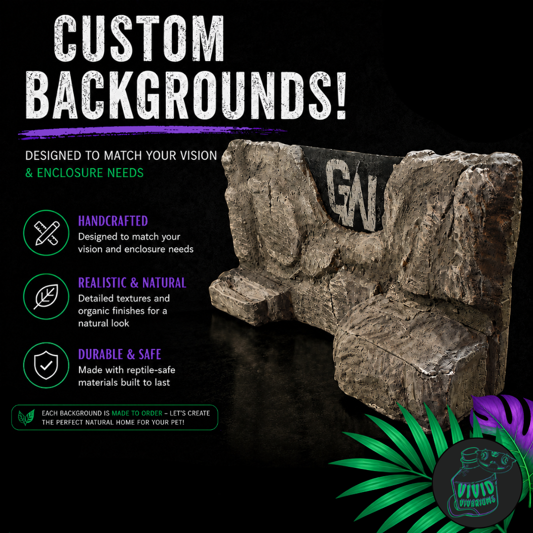 Handcrafted Custom Reptile Vivarium Background