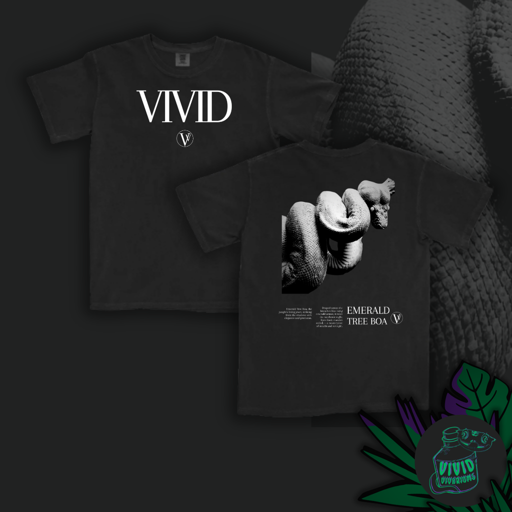 Emerald Tree Boa | Noir T-Shirt