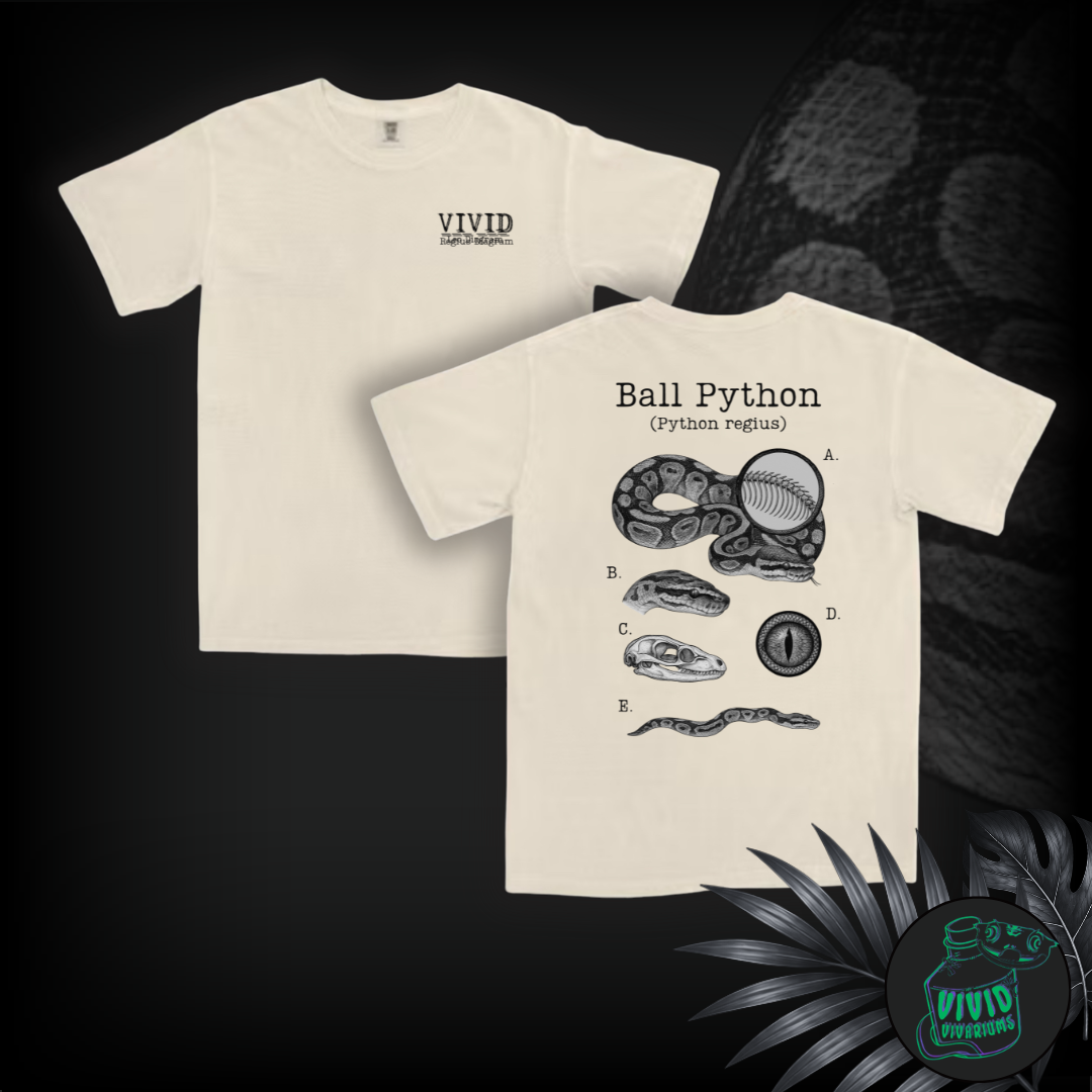 Ball Python | Anatomical Diagram Tee