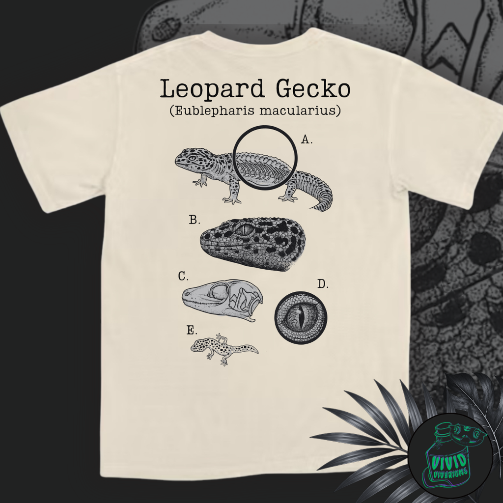 Leopard Gecko | Anatomical Diagram Tee