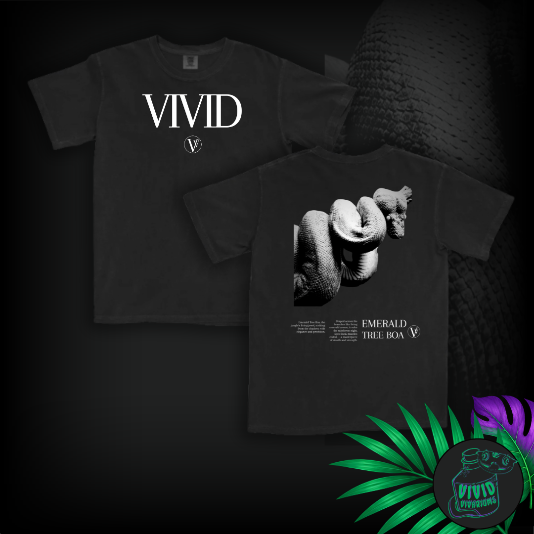 Emerald Tree Boa | Noir T-Shirt