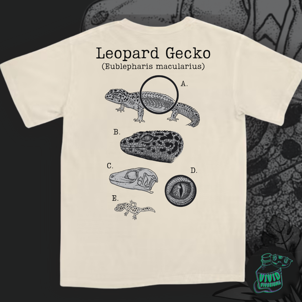 Leopard Gecko | Anatomical Diagram Tee