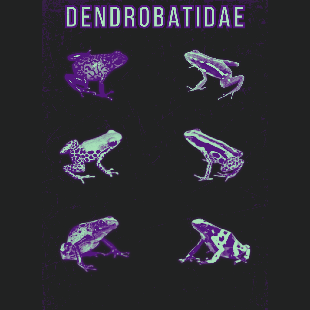 Dart Frog Family | Graphic Tee