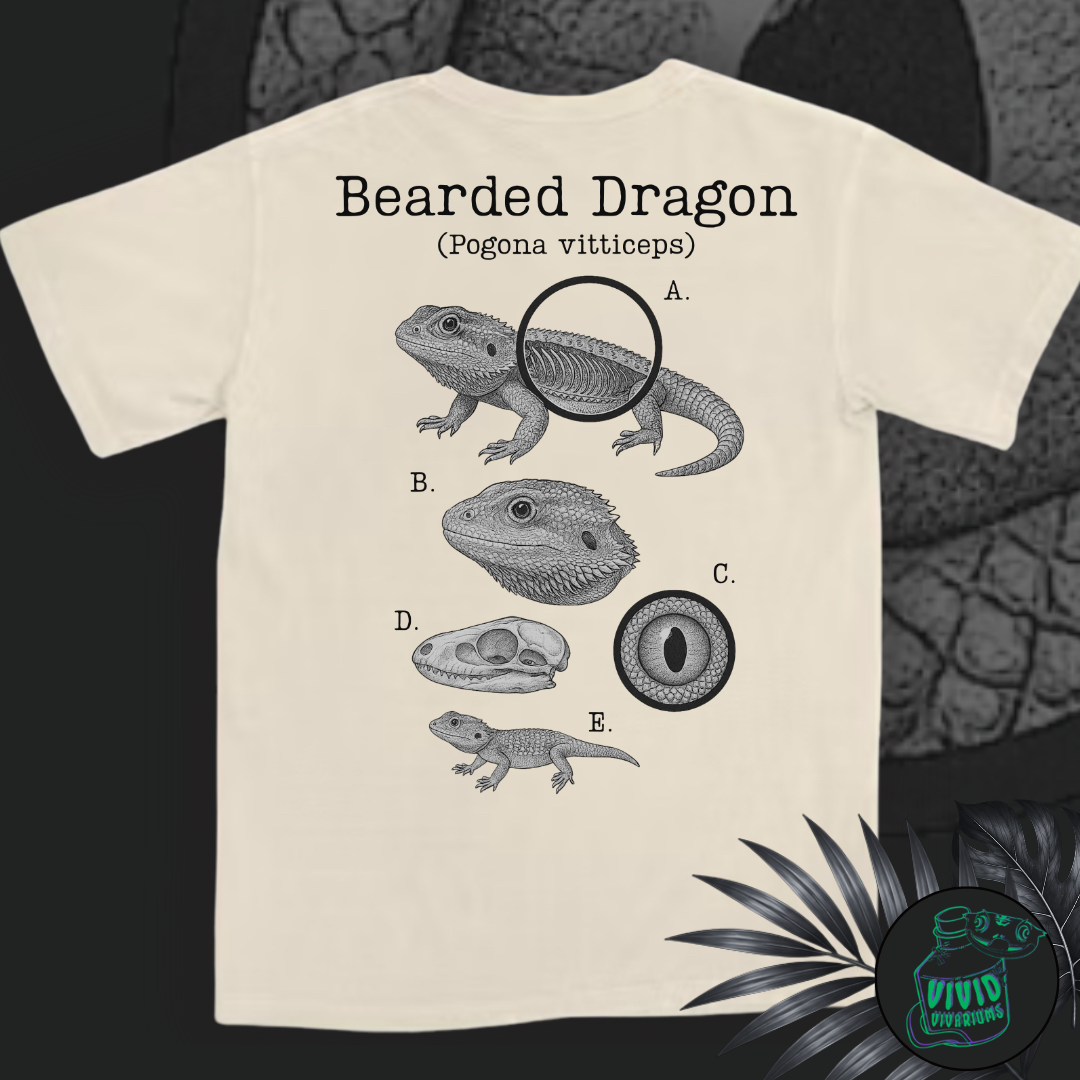 Bearded Dragon | Anatomical Diagram Tee