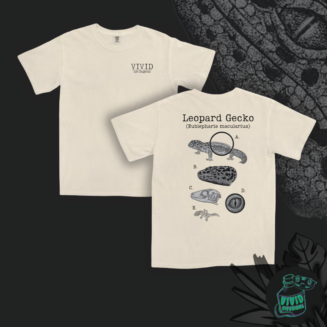 Leopard Gecko | Anatomical Diagram Tee