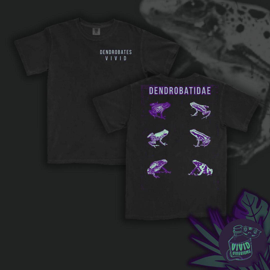 Dart Frog Family | Graphic Tee