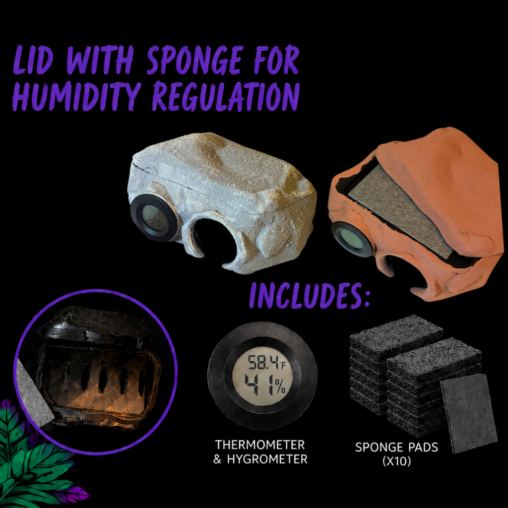 Humid Hide – Built-In Hygrometer, Thermometer & Humidity Control System