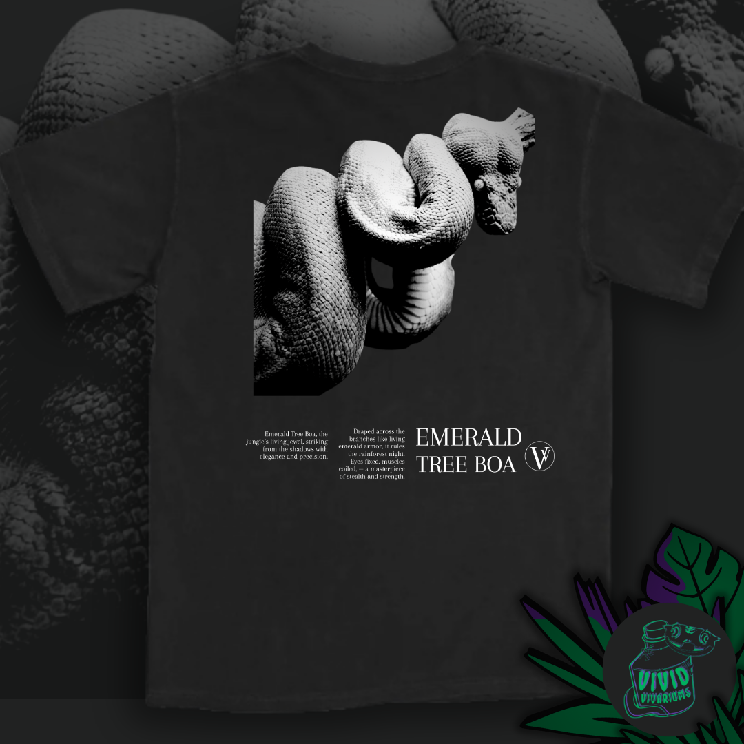 Emerald Tree Boa | Noir T-Shirt