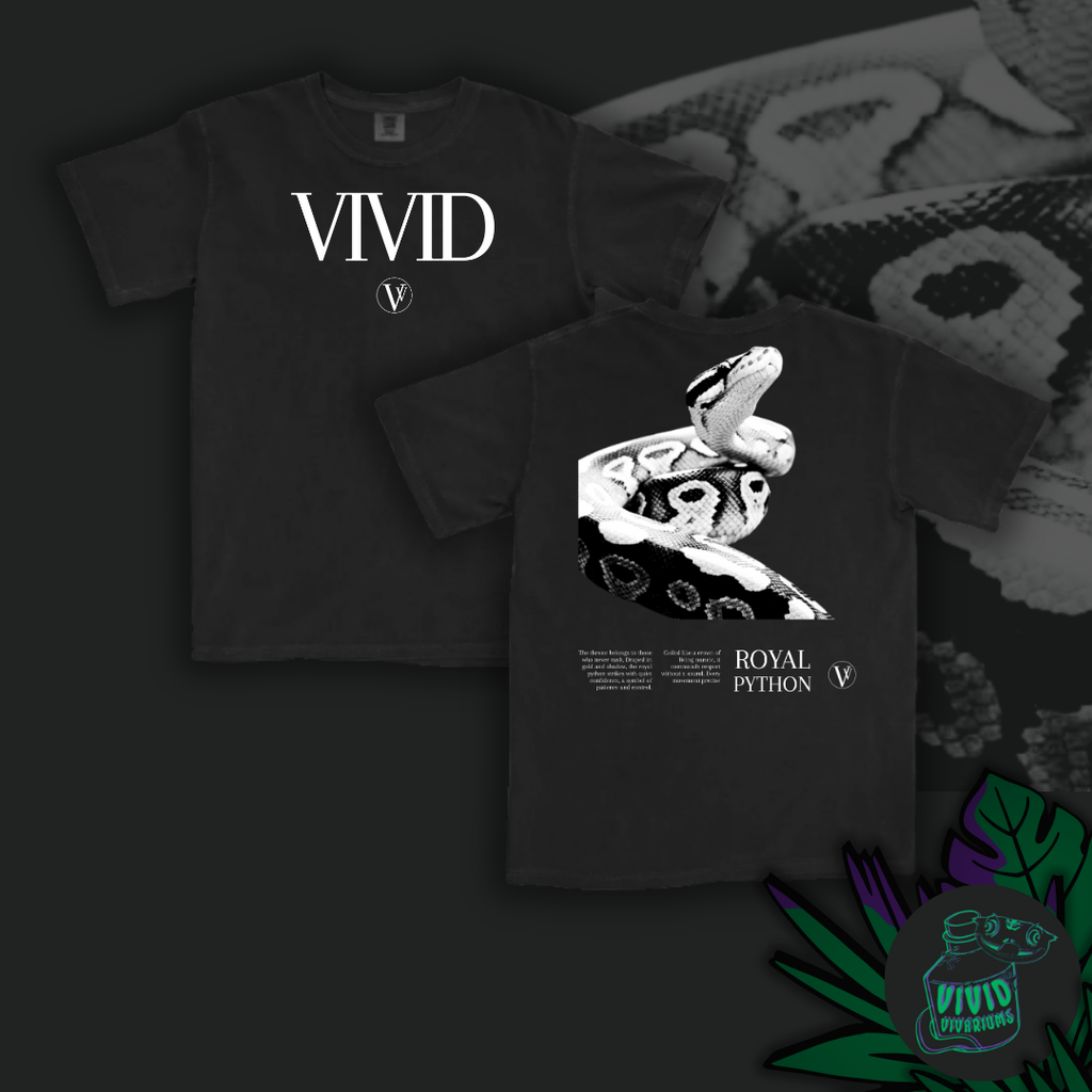 Ball/ Royal Python | Noir T-Shirt