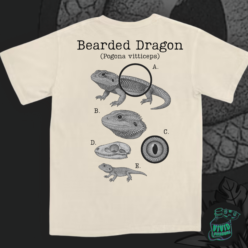 Bearded Dragon | Anatomical Diagram Tee