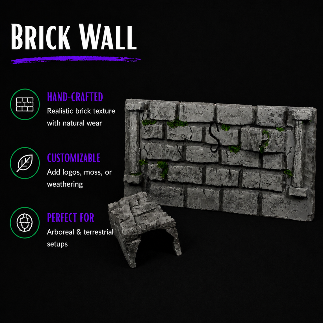 Handcrafted Custom Reptile Vivarium Background