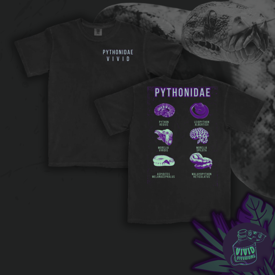 The Python Family | Graphic Tee
