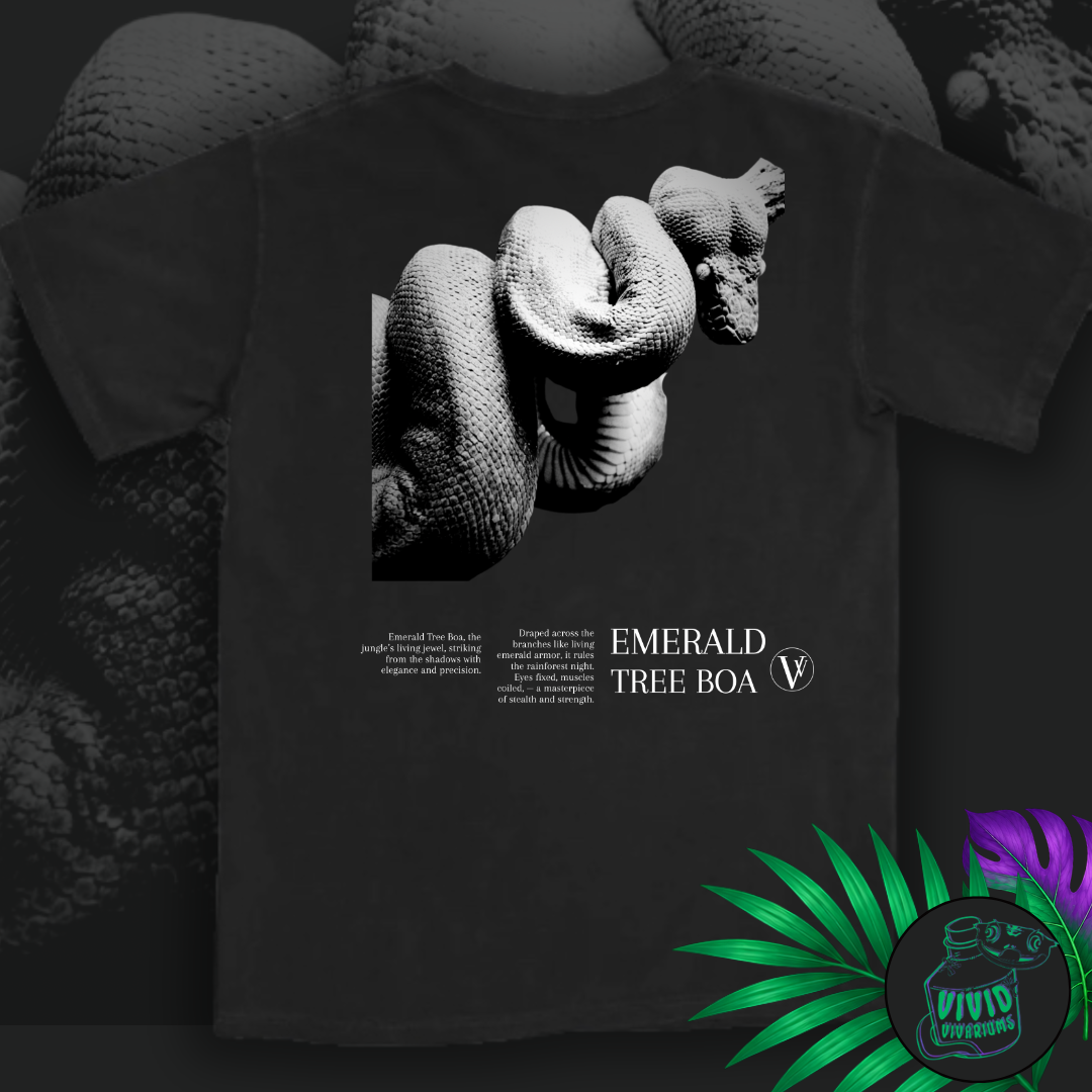Emerald Tree Boa | Noir T-Shirt