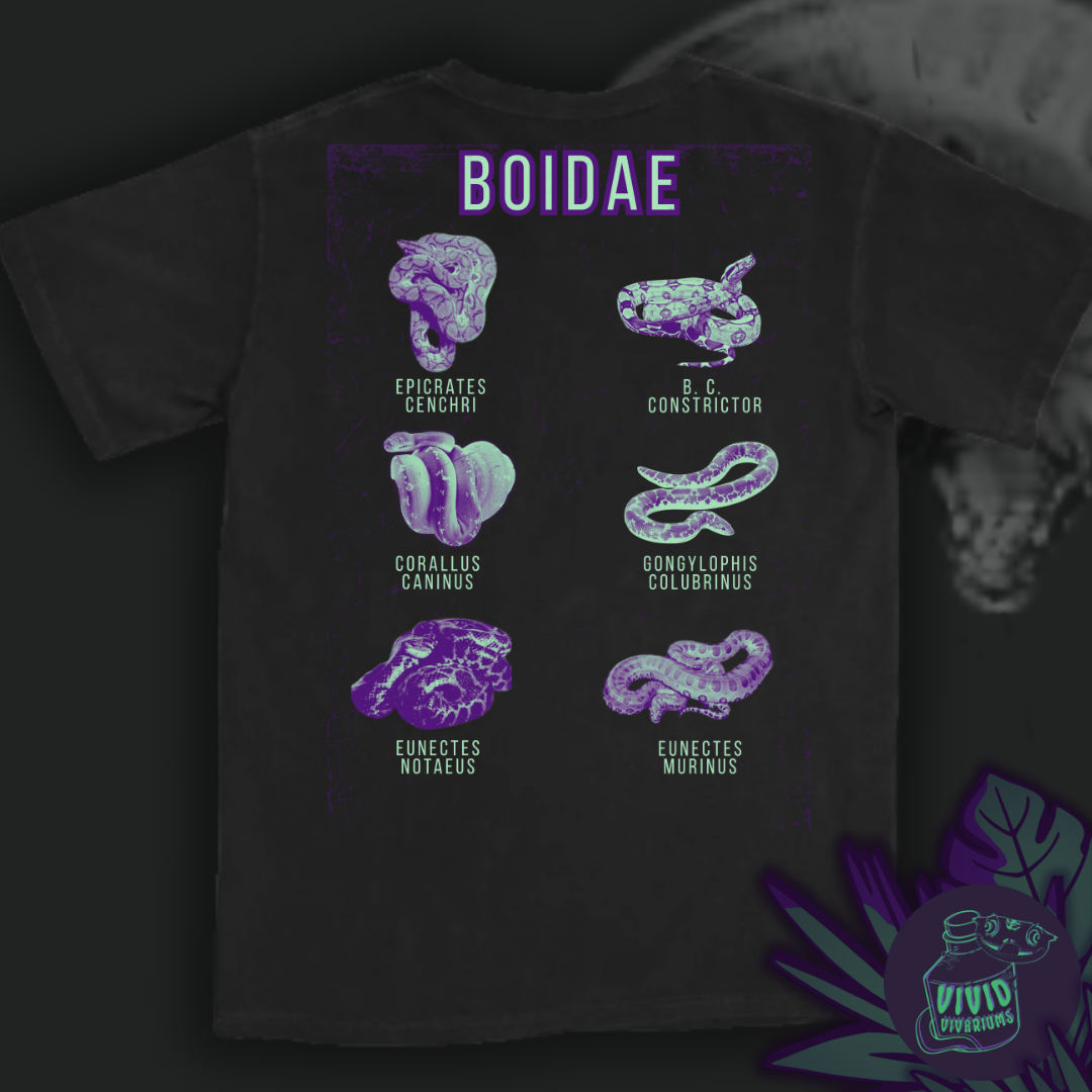 The Boa Family | Graphic Tee