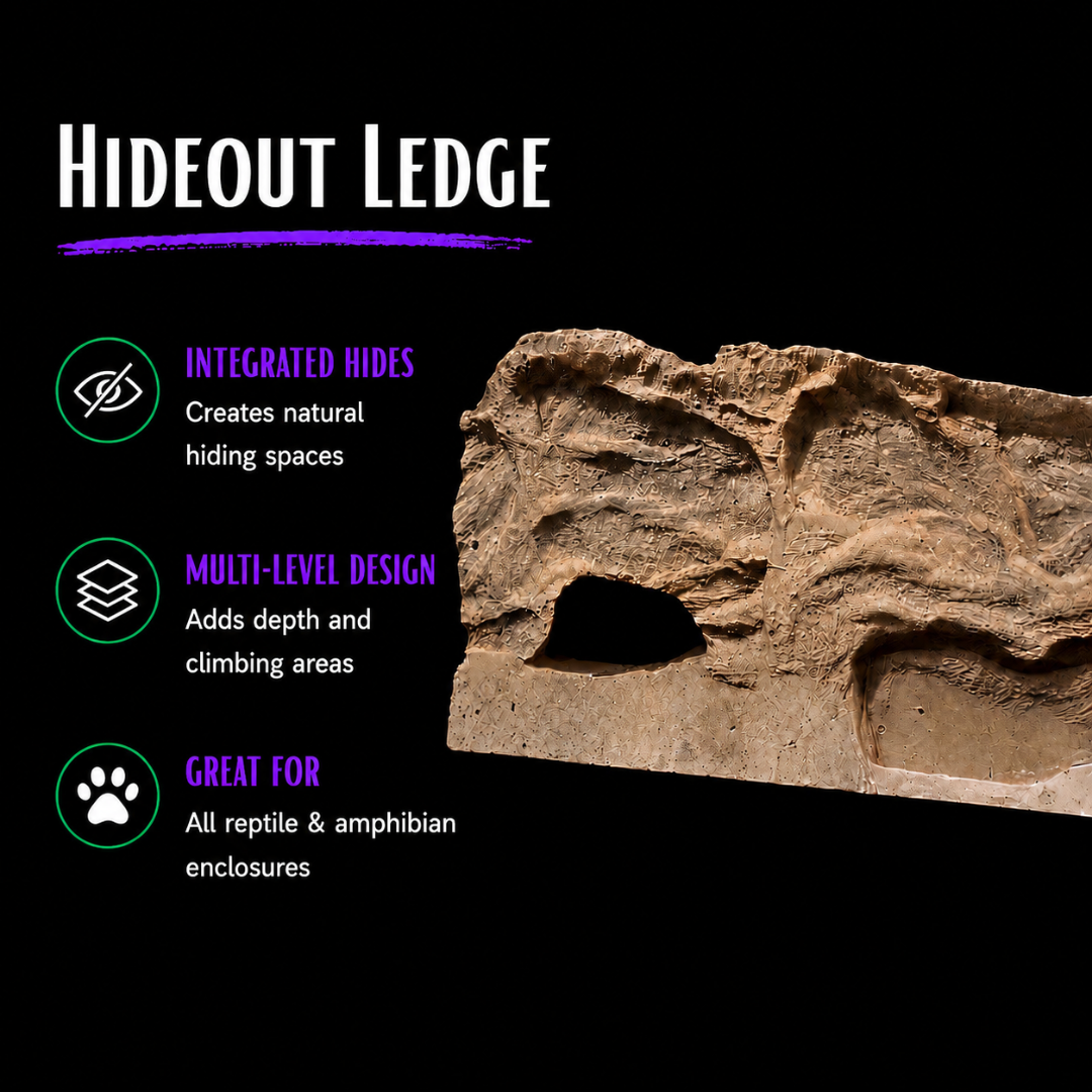 Handcrafted Custom Reptile Vivarium Background