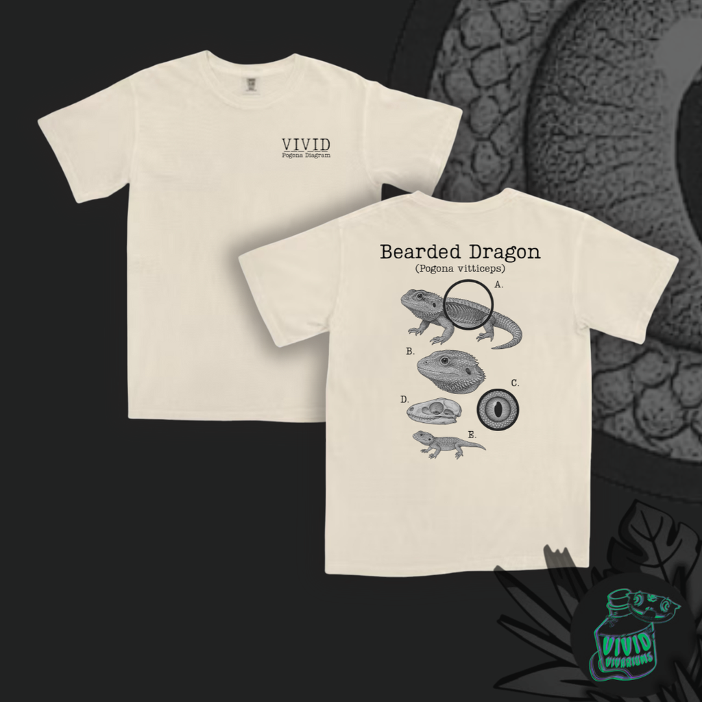 Bearded Dragon | Anatomical Diagram Tee