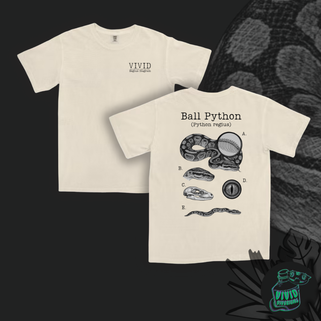 Ball Python | Anatomical Diagram Tee