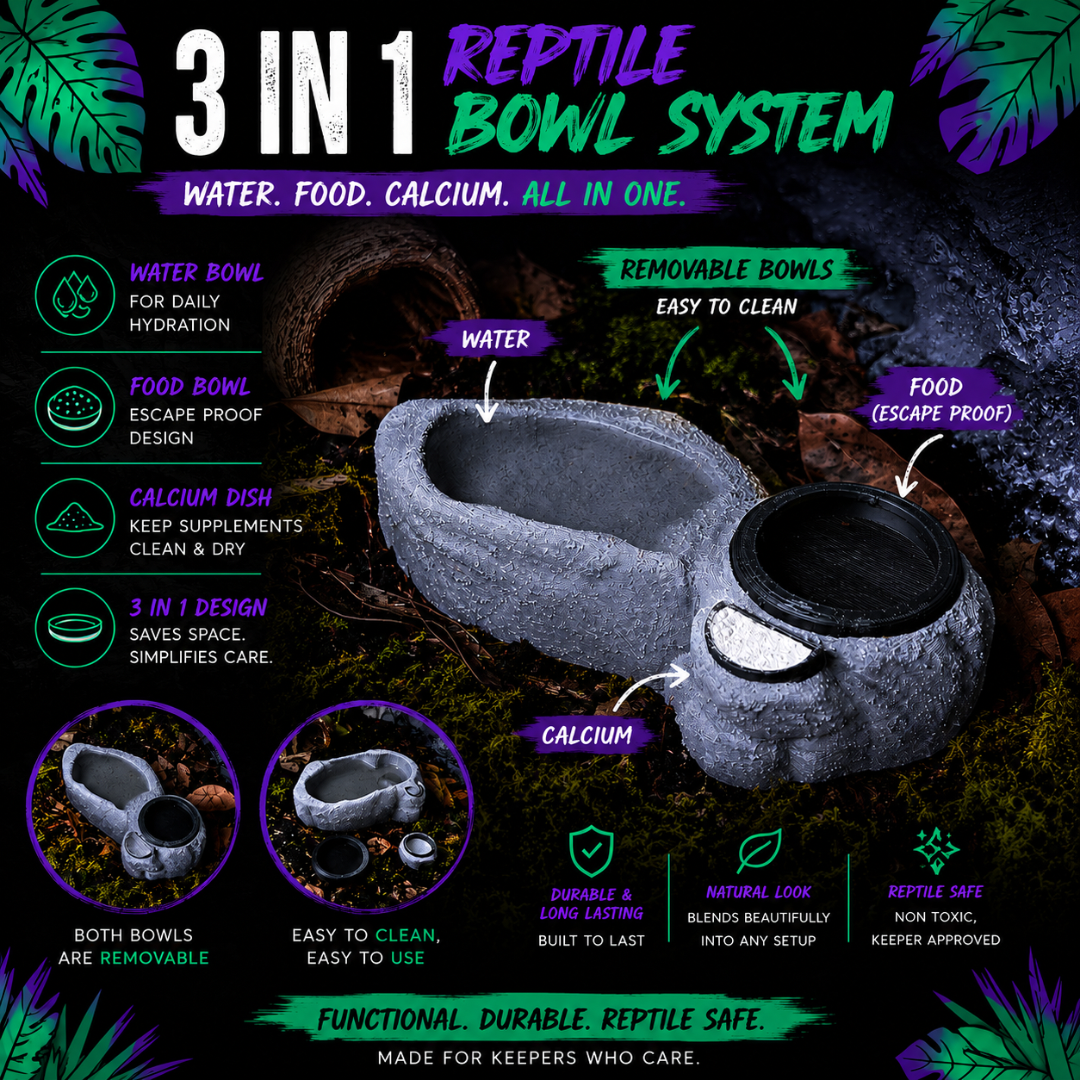 3-In-1 Reptile Bowl System