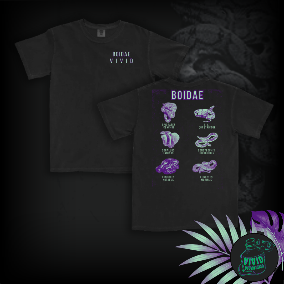 The Boa Family | Graphic Tee