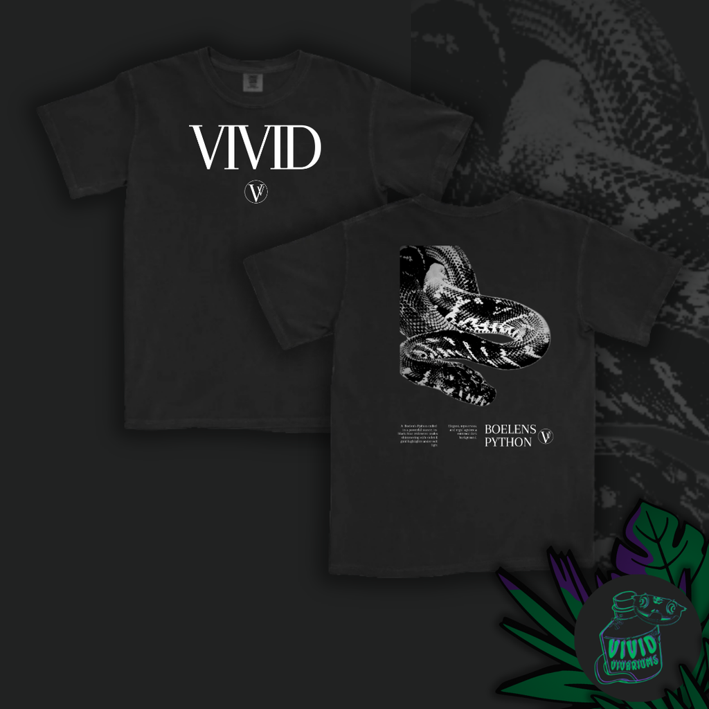 Boelens Python | Noir T-Shirt