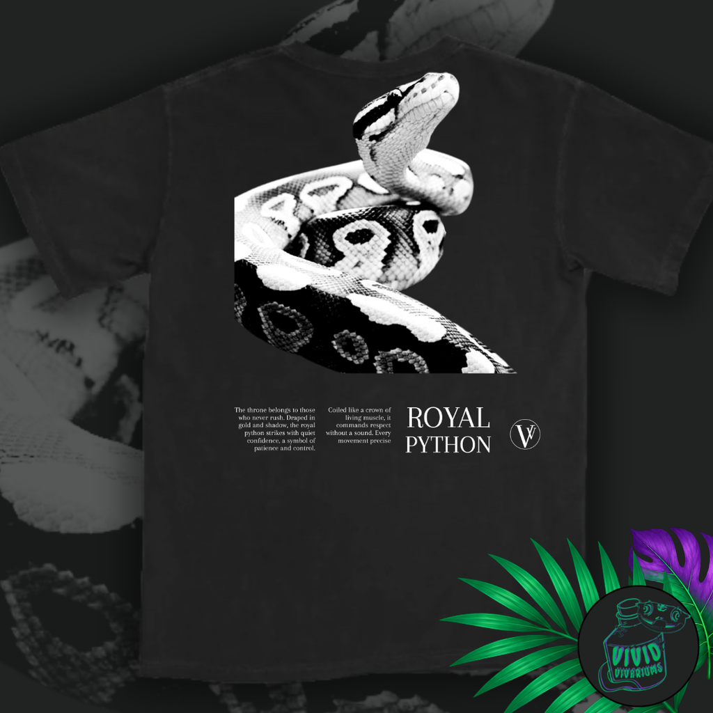 Ball/ Royal Python | Noir T-Shirt