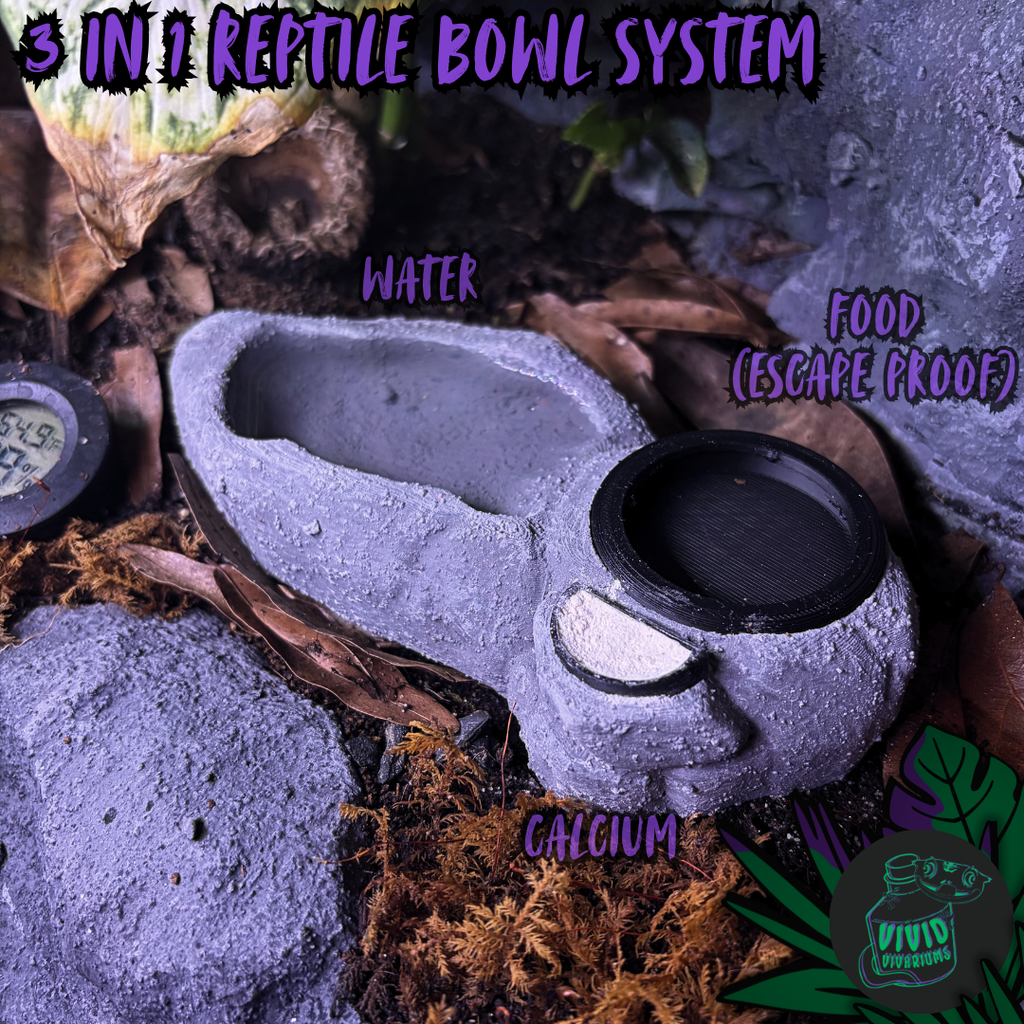 3-In-1 Reptile Bowl System