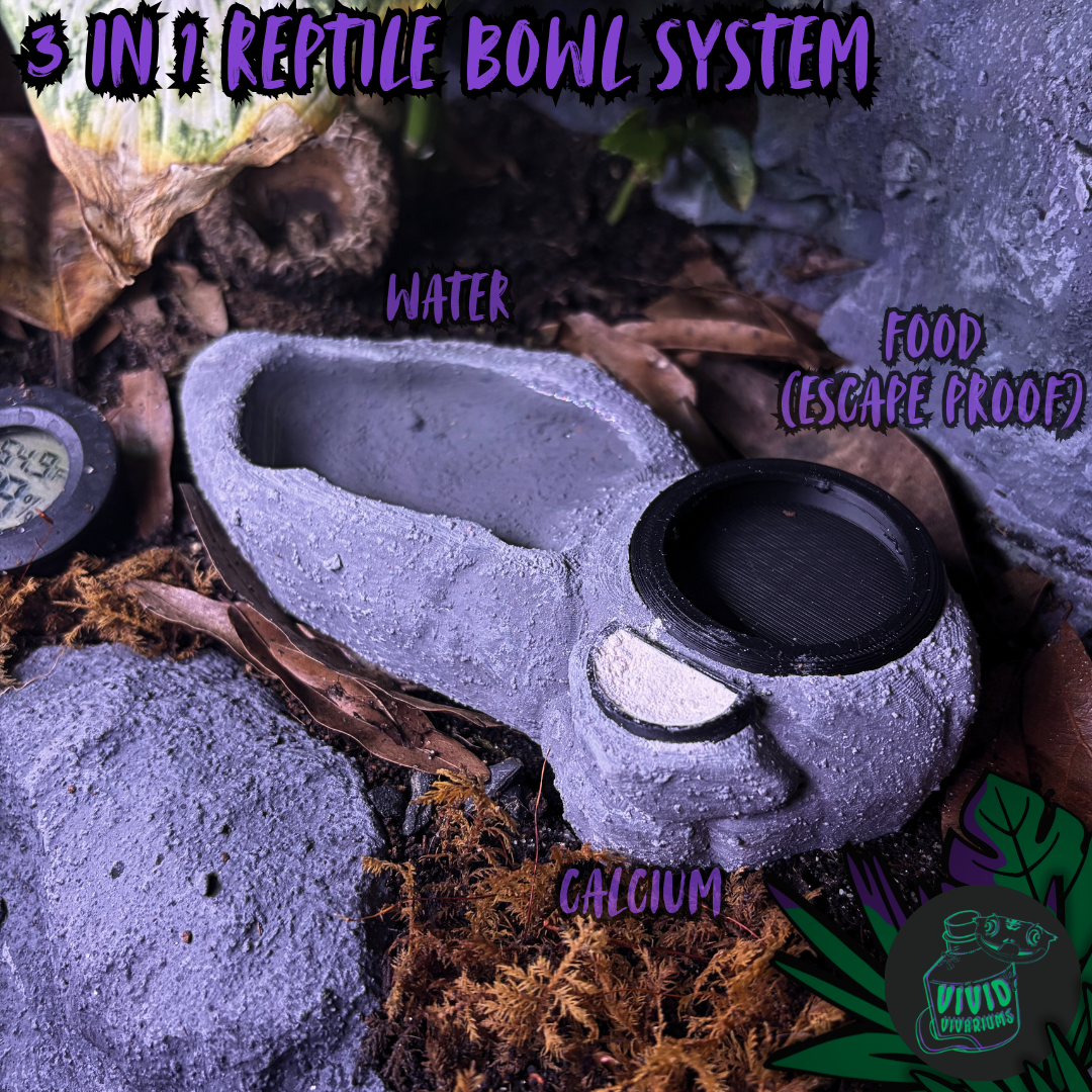 3-In-1 Reptile Bowl System
