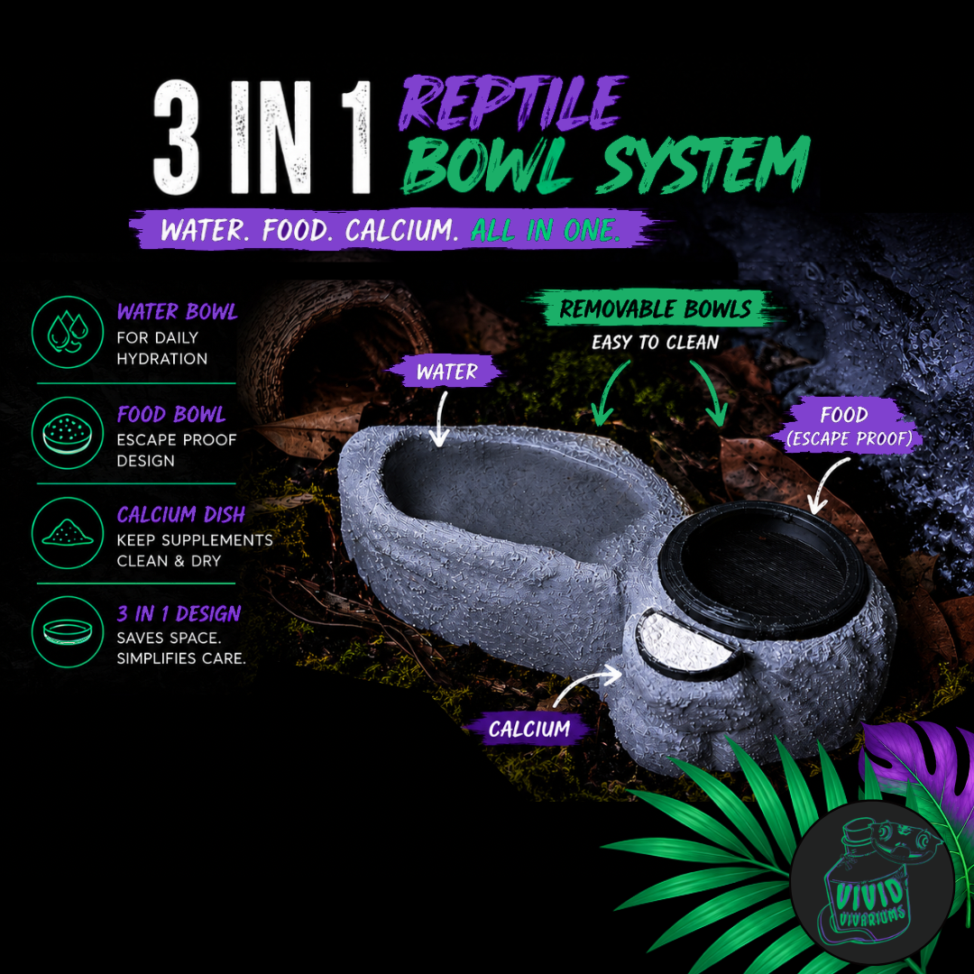 3-In-1 Reptile Bowl System