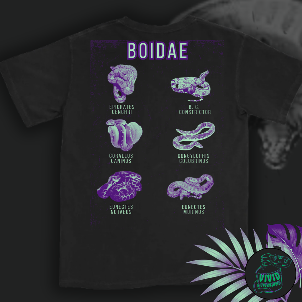 The Boa Family | Graphic Tee