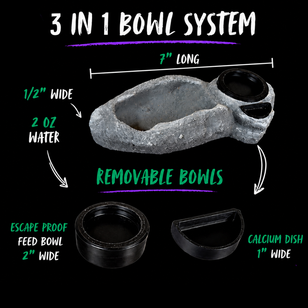 3-In-1 Reptile Bowl System