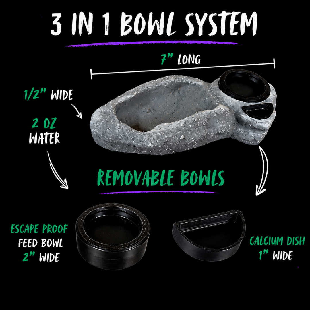 3-In-1 Reptile Bowl System