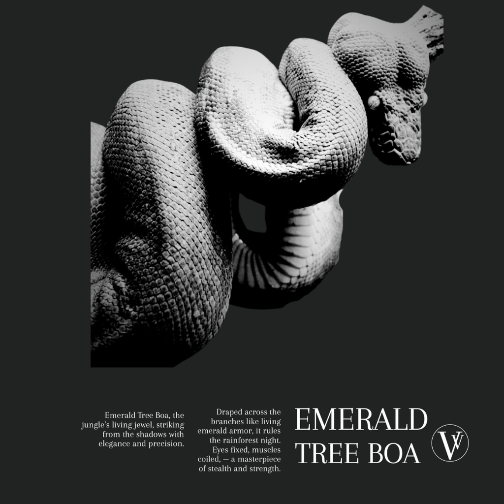 Emerald Tree Boa | Noir T-Shirt