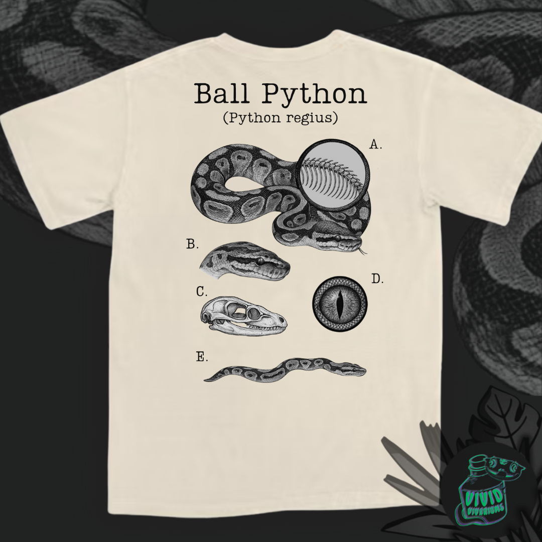 Ball Python | Anatomical Diagram Tee