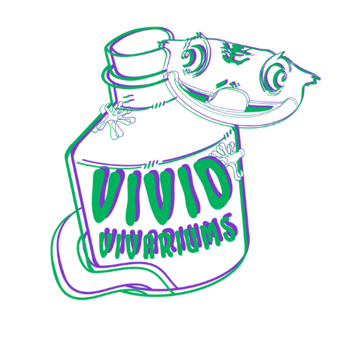Vivid Vivariums